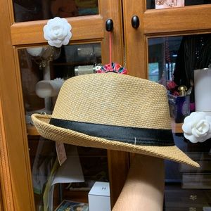 Straw Panama Hat 🎩